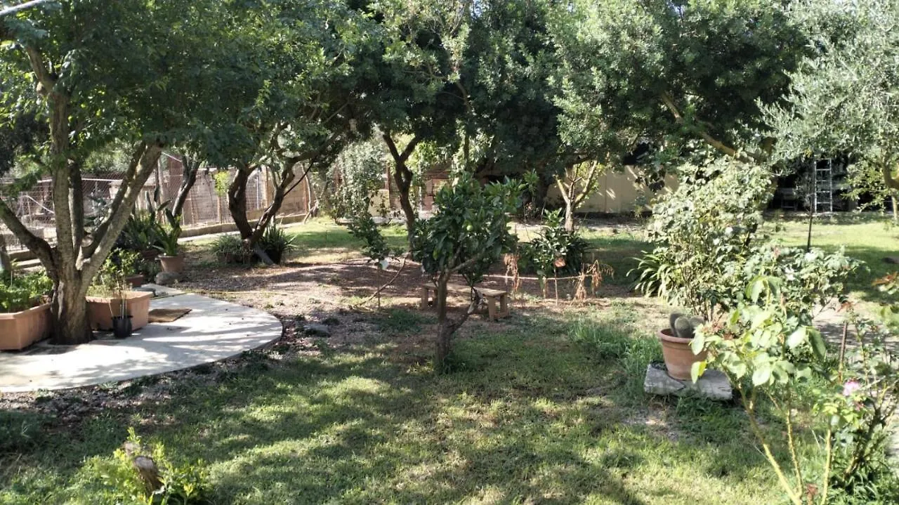 Appartamento Il Giardino Di Gio Iglesias Italia